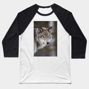 Grey Wolf Baseball T-Shirt